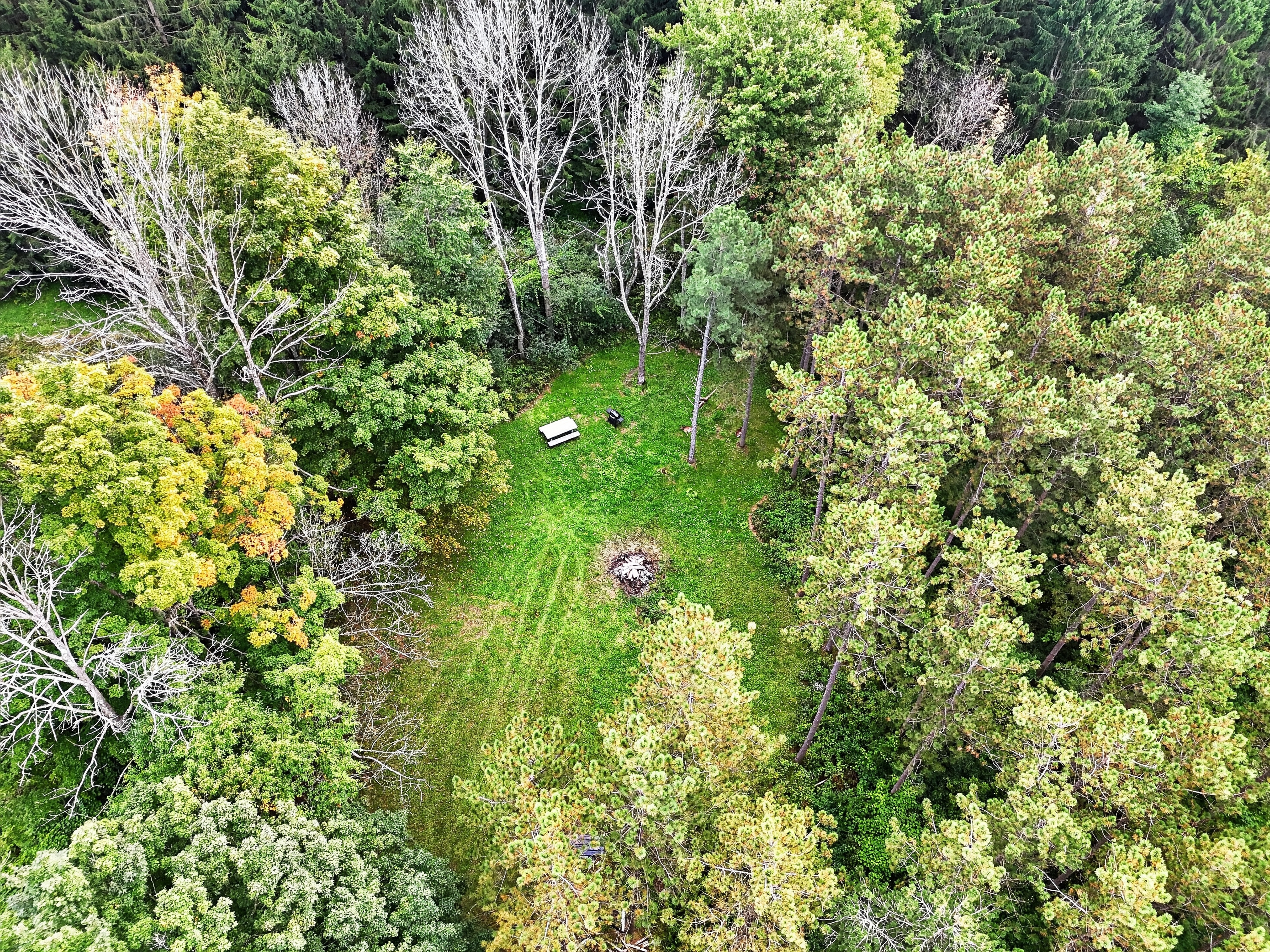 049_DJI_20260921152503_0030_D.jpg