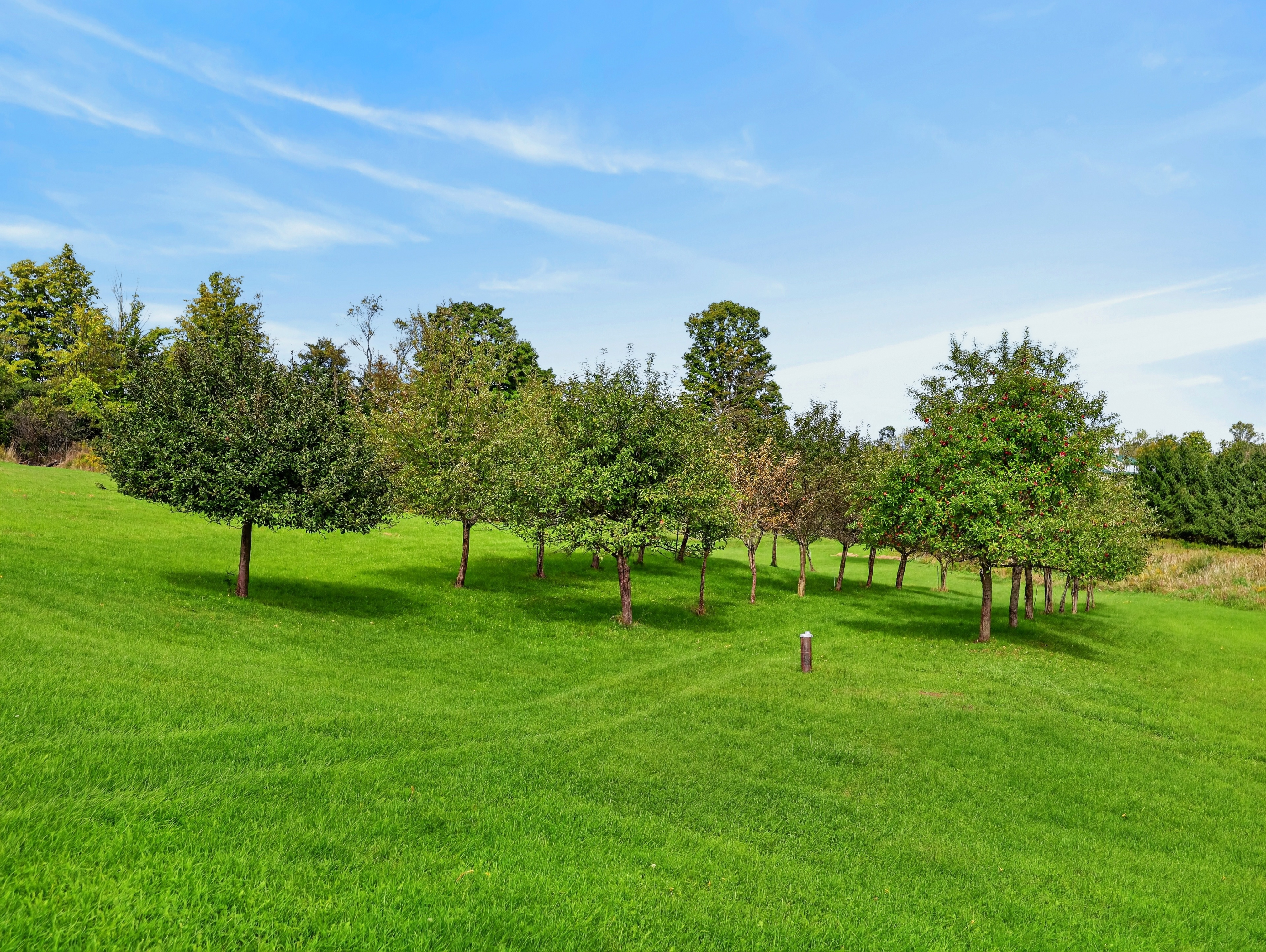 043_0M3A6207.jpg