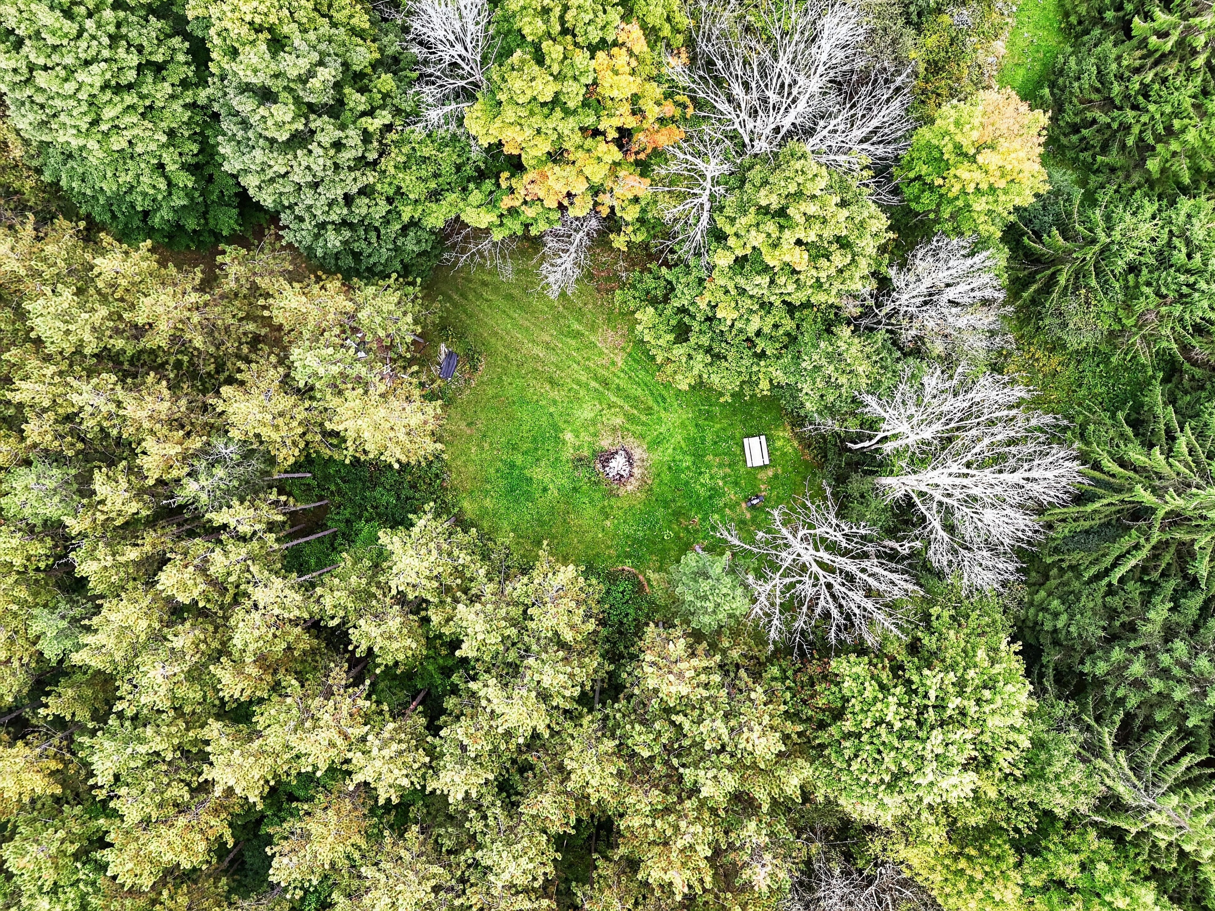 048_DJI_20260921152442_0029_D.jpg
