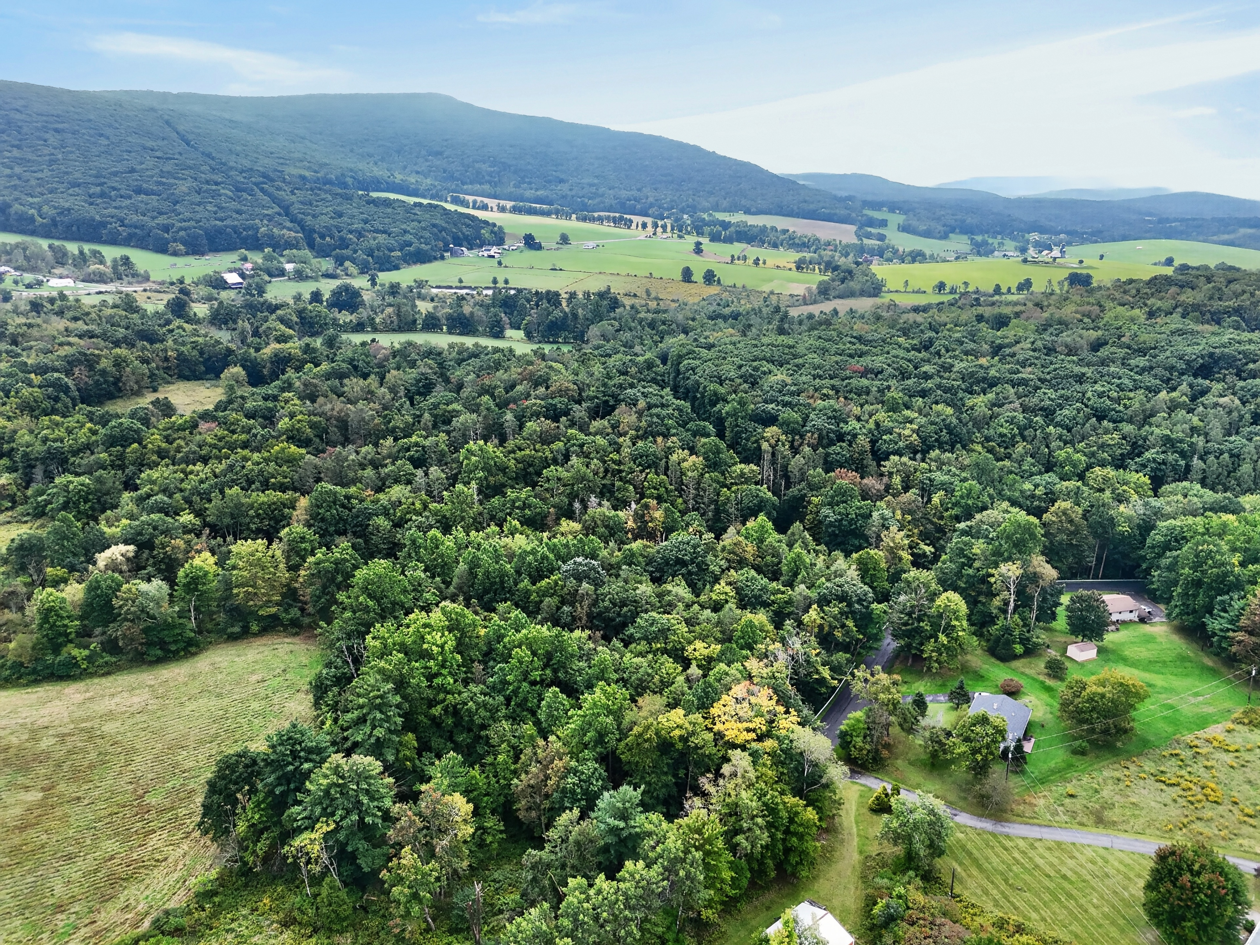 037_DJI_20260917125556_0050_D.jpg