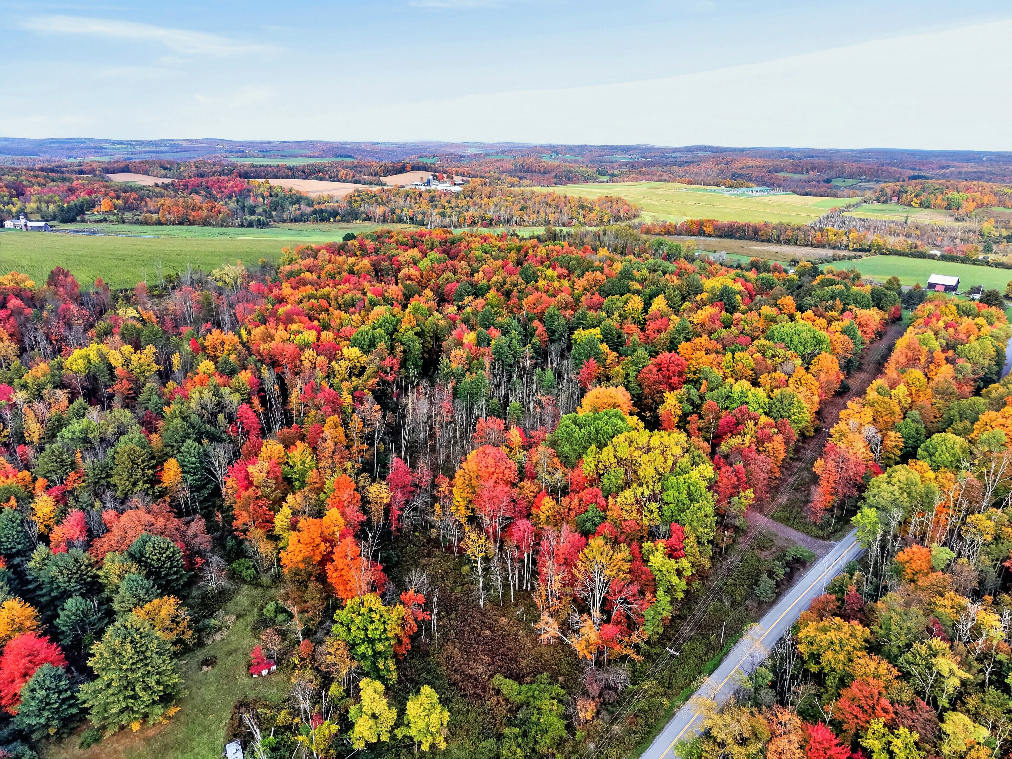 006_DJI_20261012163127_0113_D.jpg