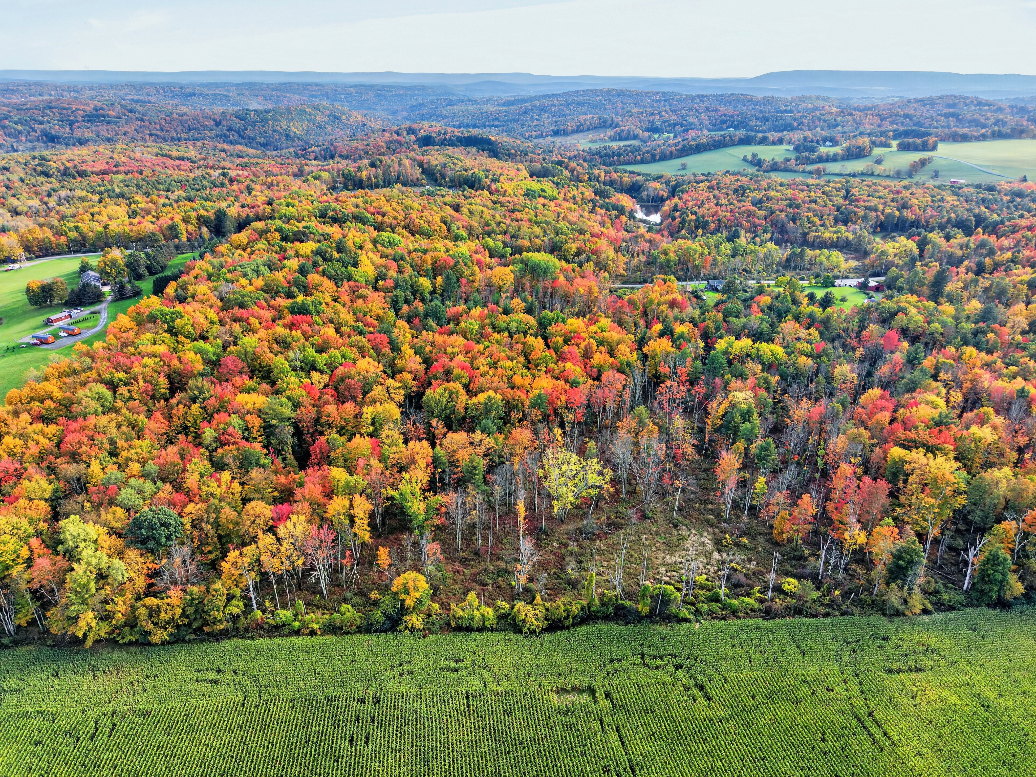 003_DJI_20261012162942_0110_D.jpg