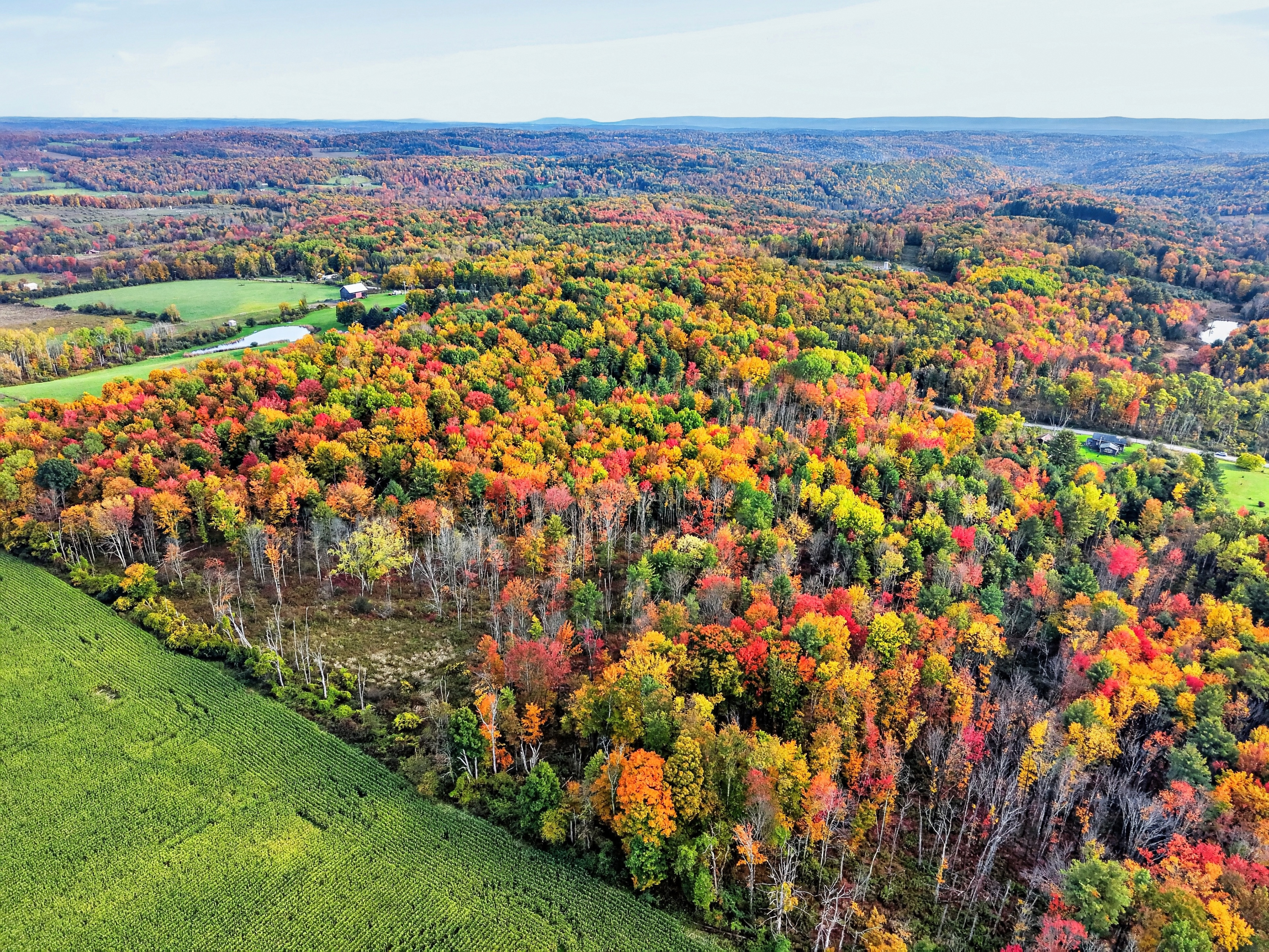002_DJI_20261012162846_0107_D.jpg