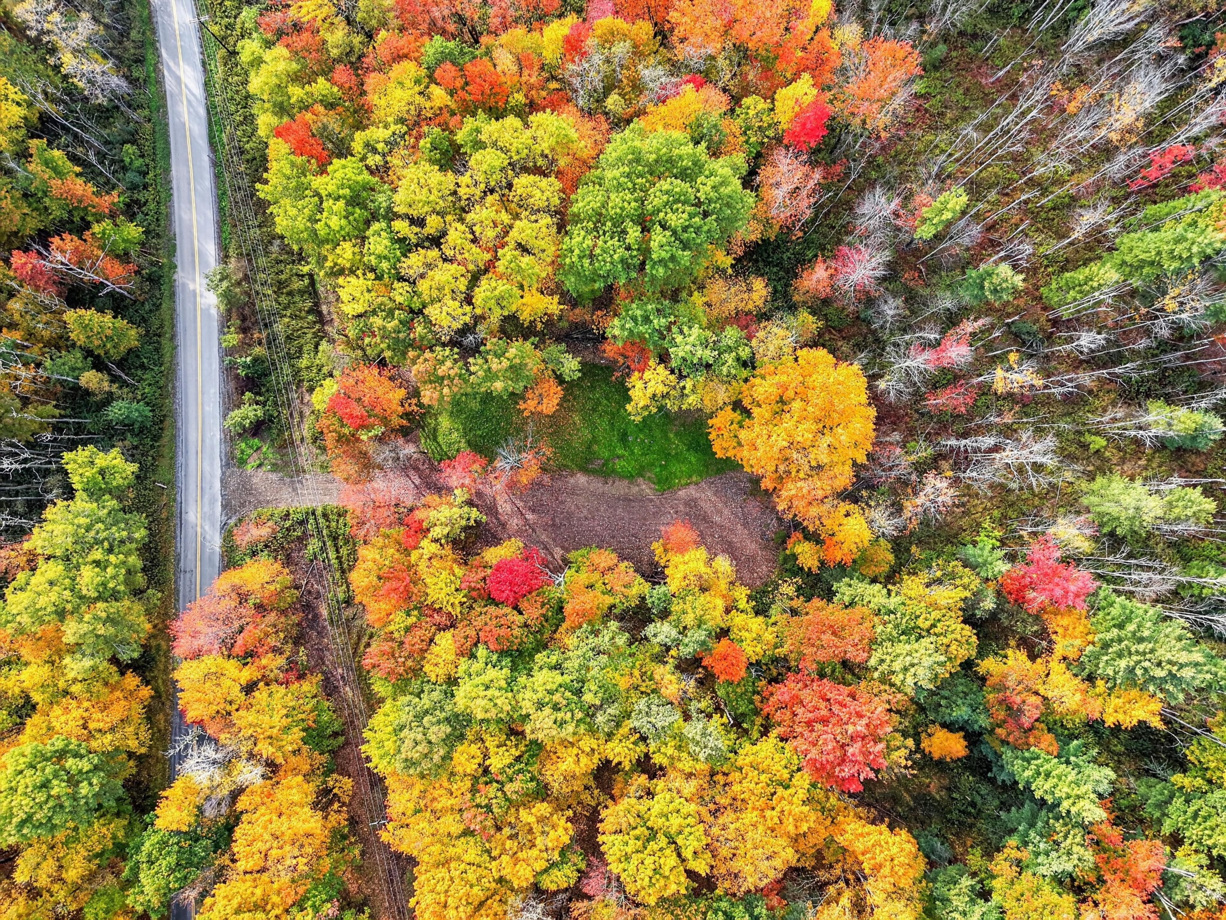 007_DJI_20261012163256_0117_D.jpg
