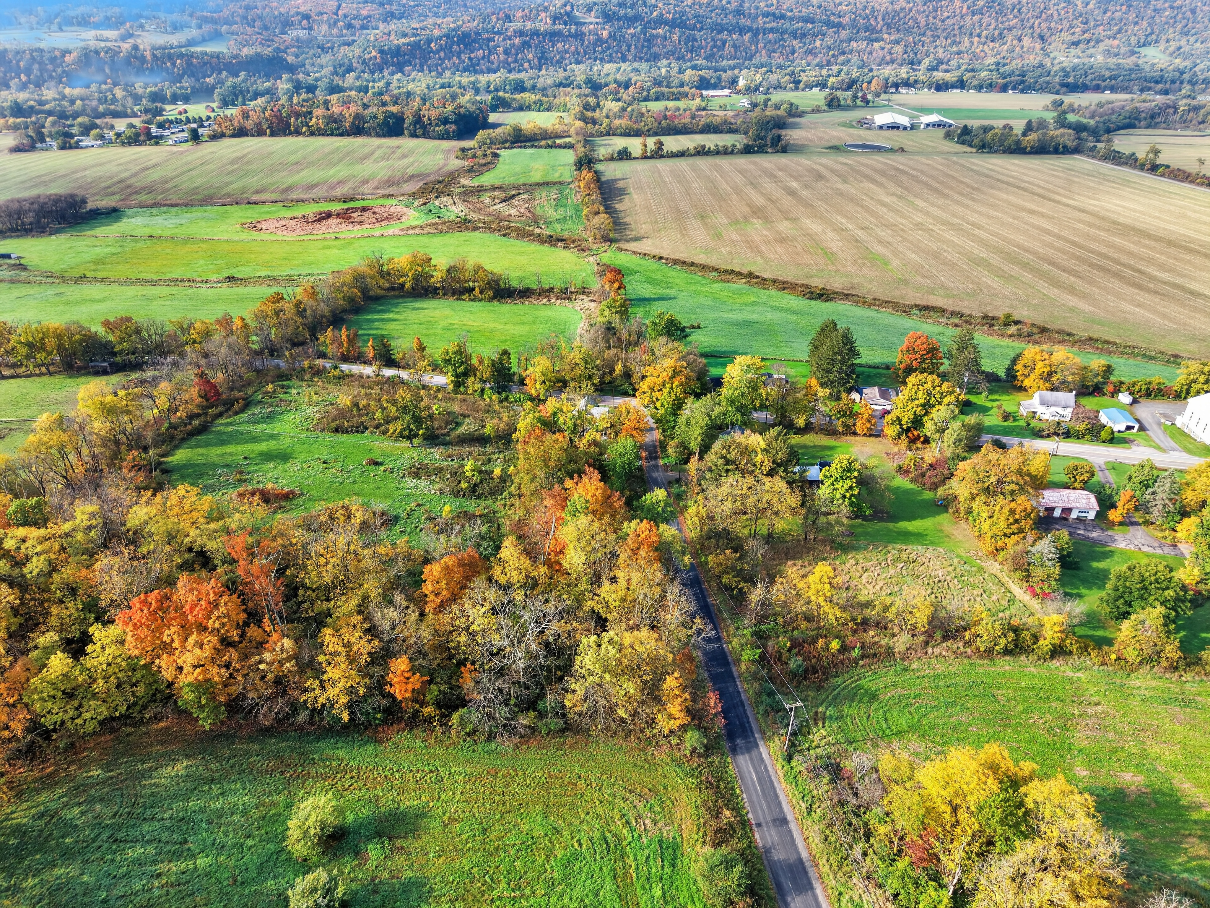 016_DJI_20261013101512_0128_D.jpg