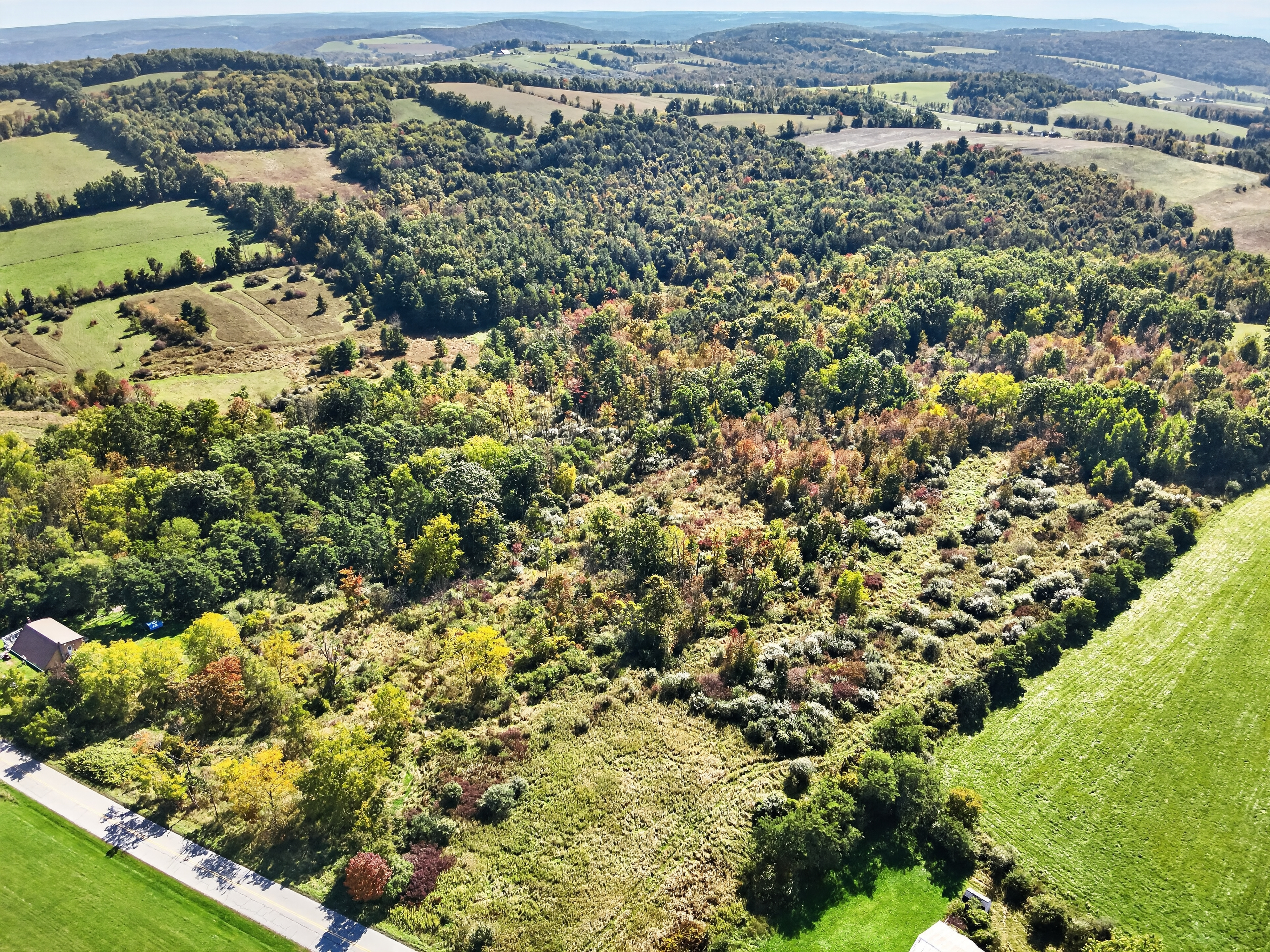 DJI_20260930113946_0013_V.jpg