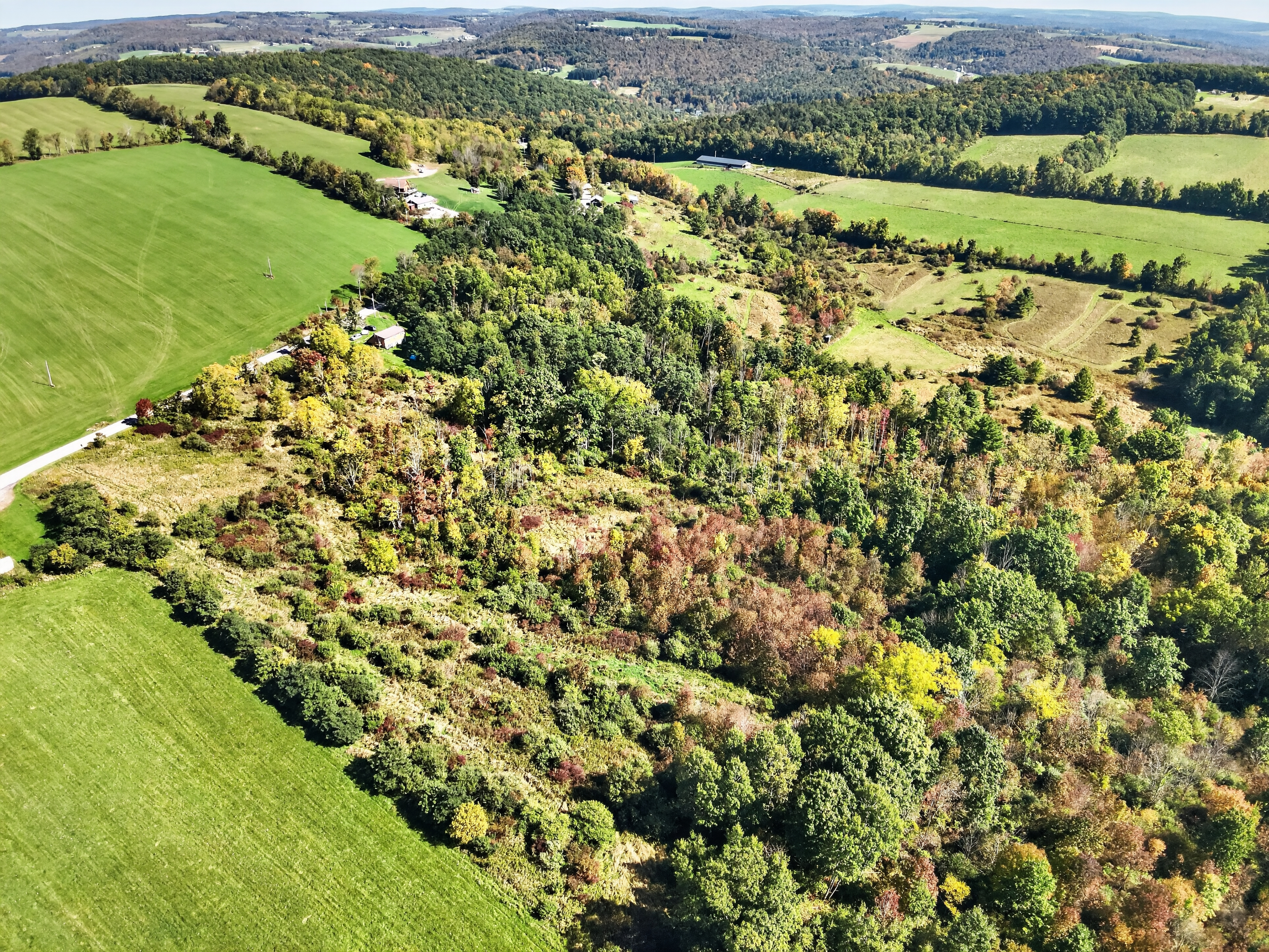 DJI_20260930114017_0014_V.jpg