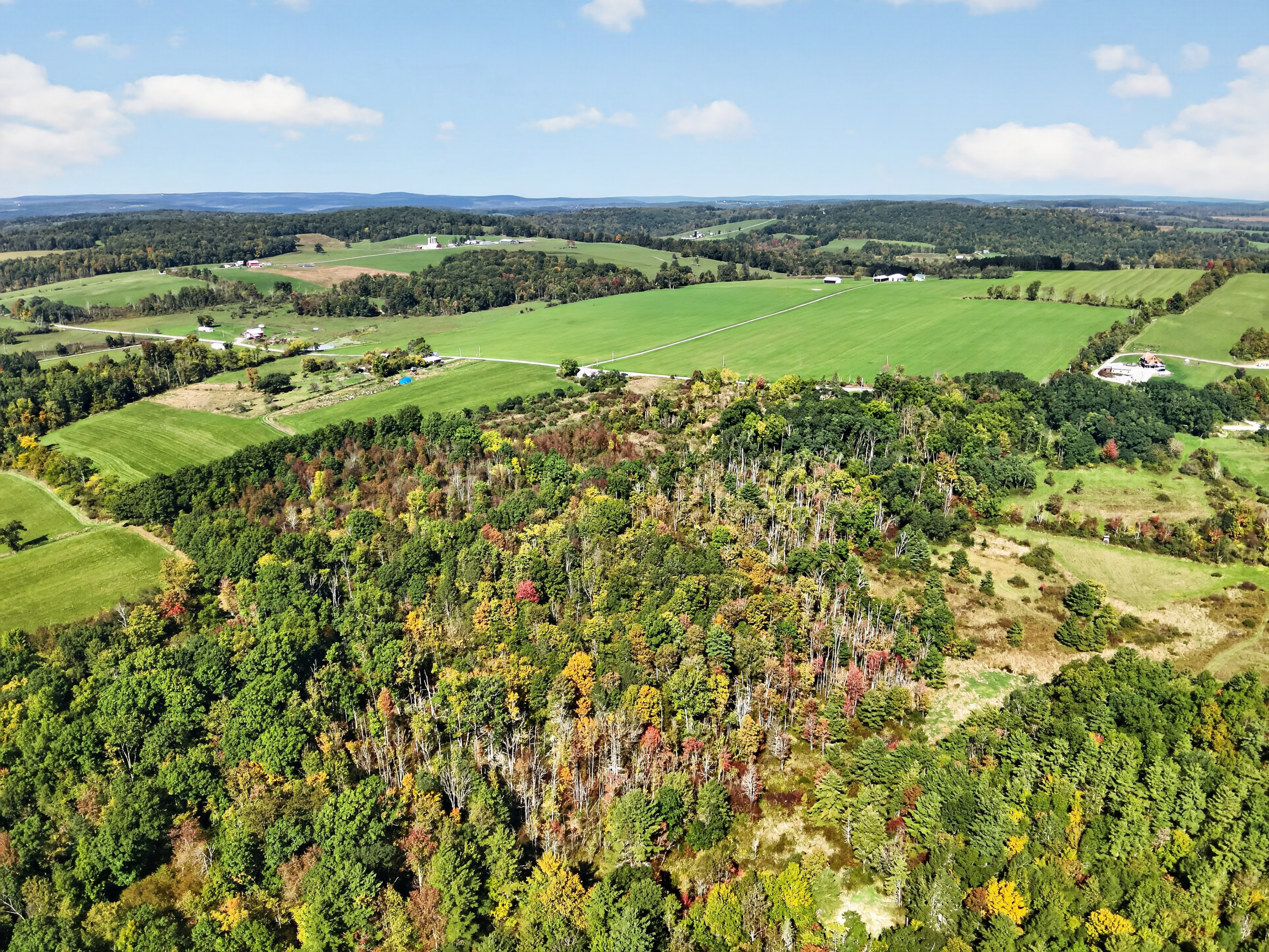 DJI_20260930113522_0004_V.jpg