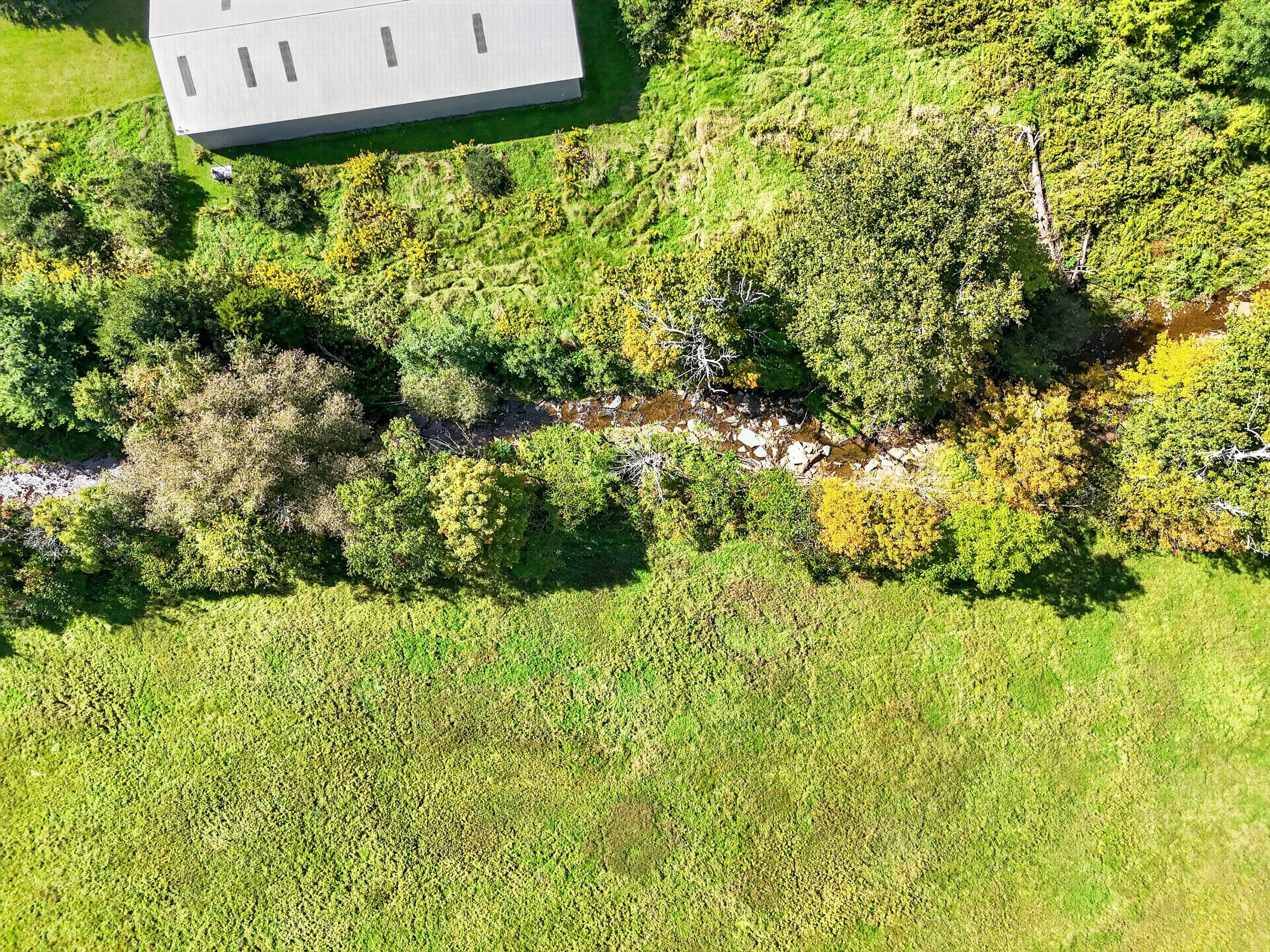 005_DJI_20260921114452_0020_D.jpg