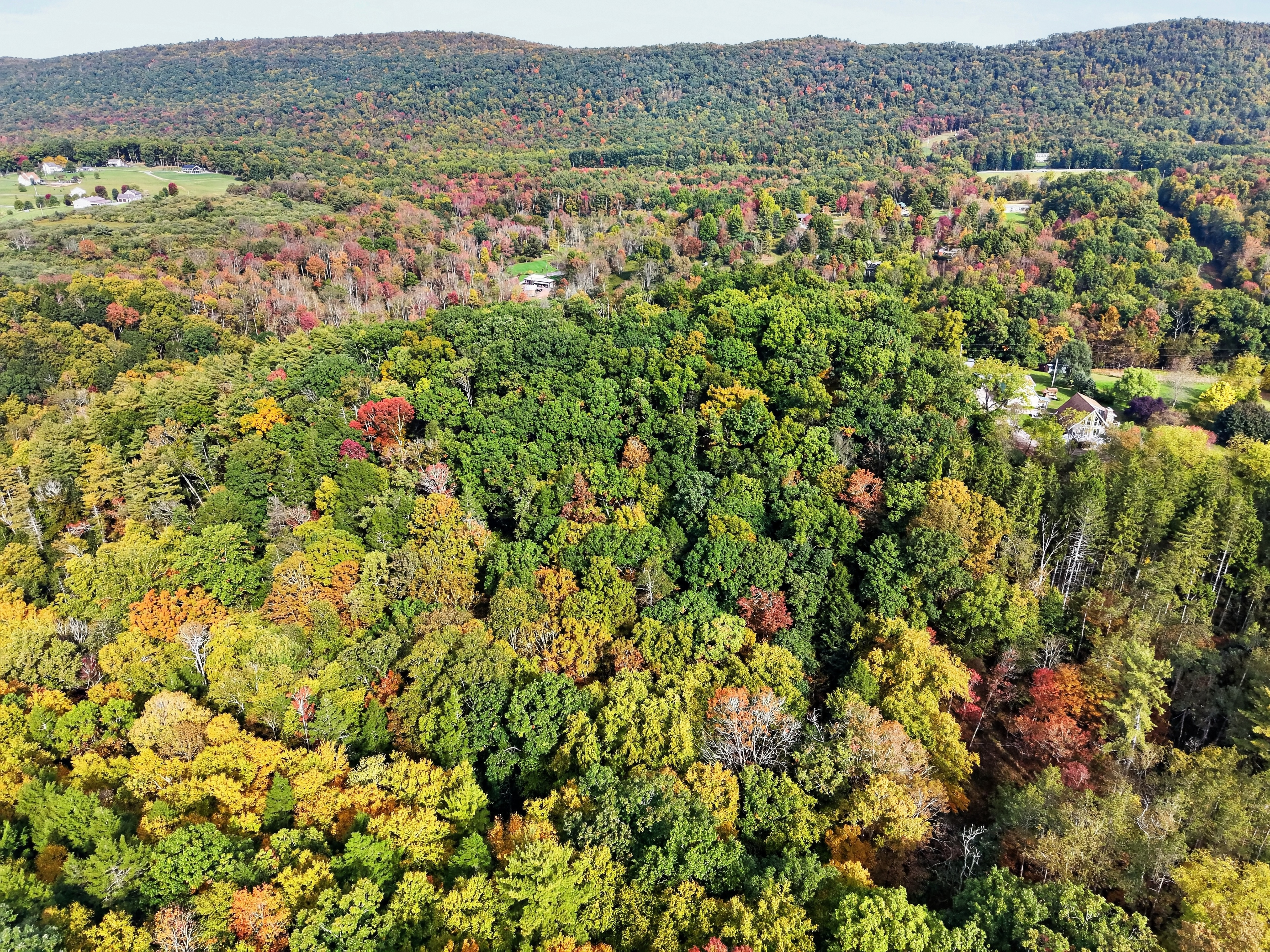 046_DJI_20261010102825_0064_D.jpg