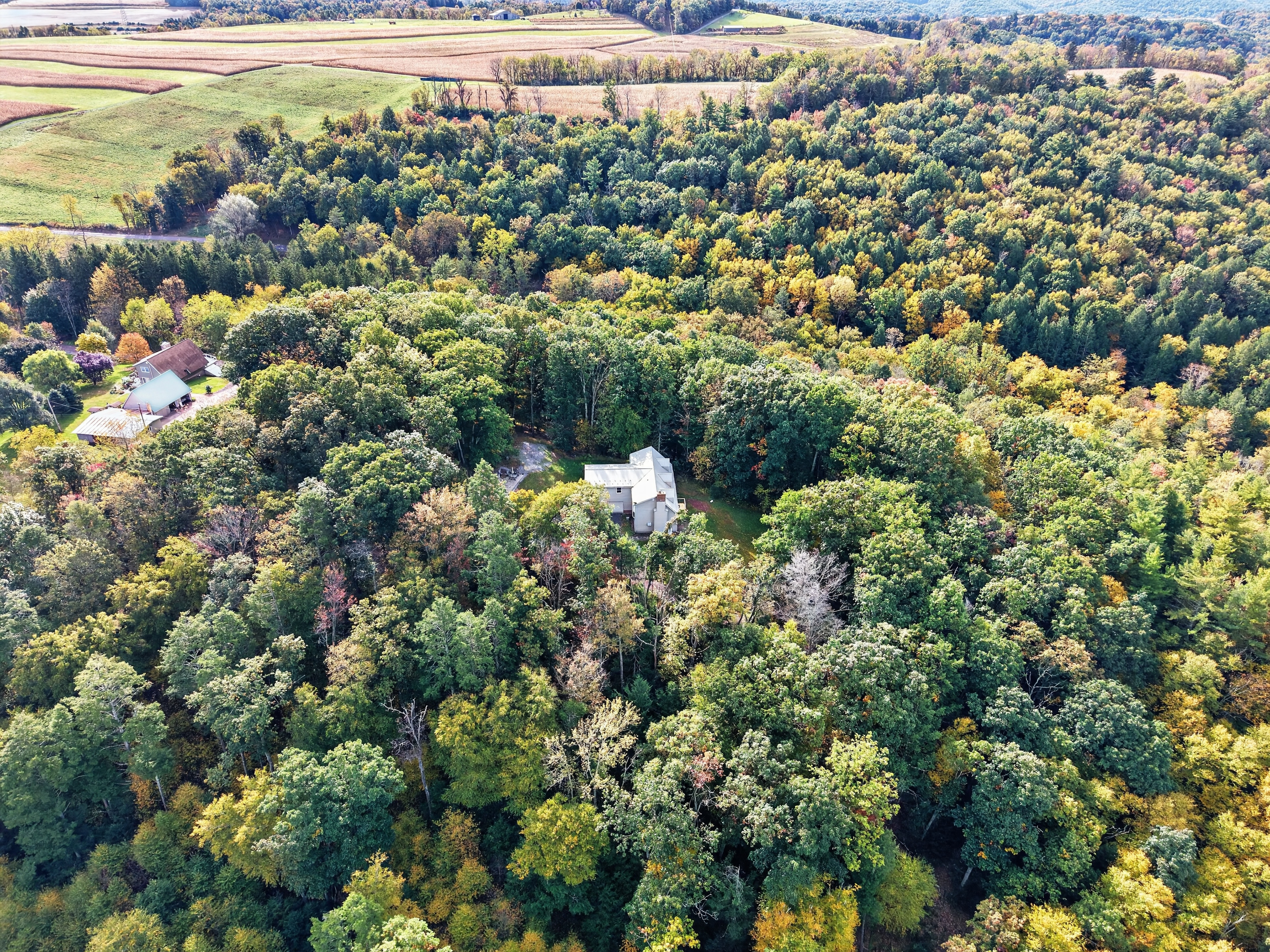 045_DJI_20261010102746_0063_D.jpg