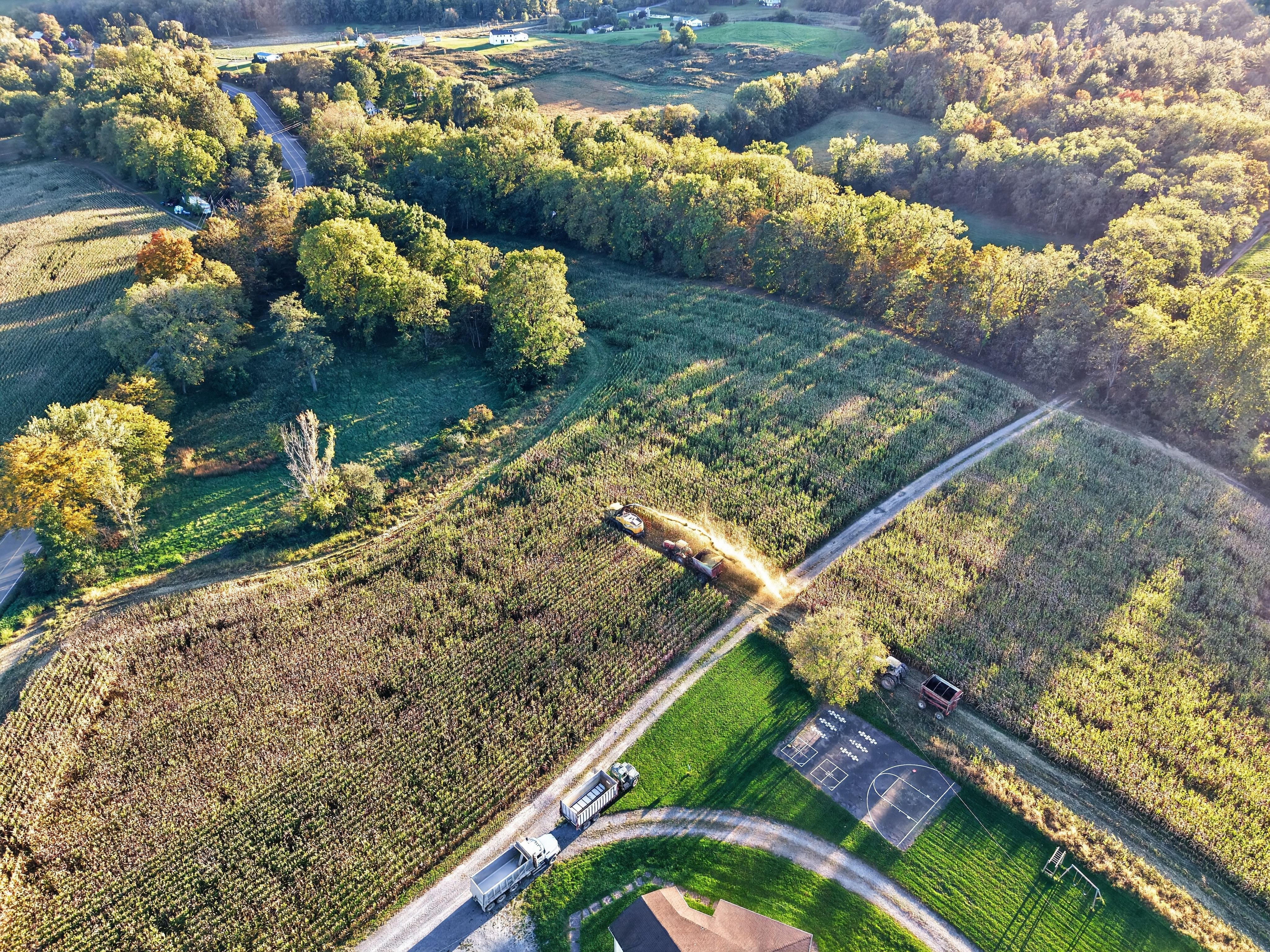 114_DJI_20261008173717_0072_D.jpg