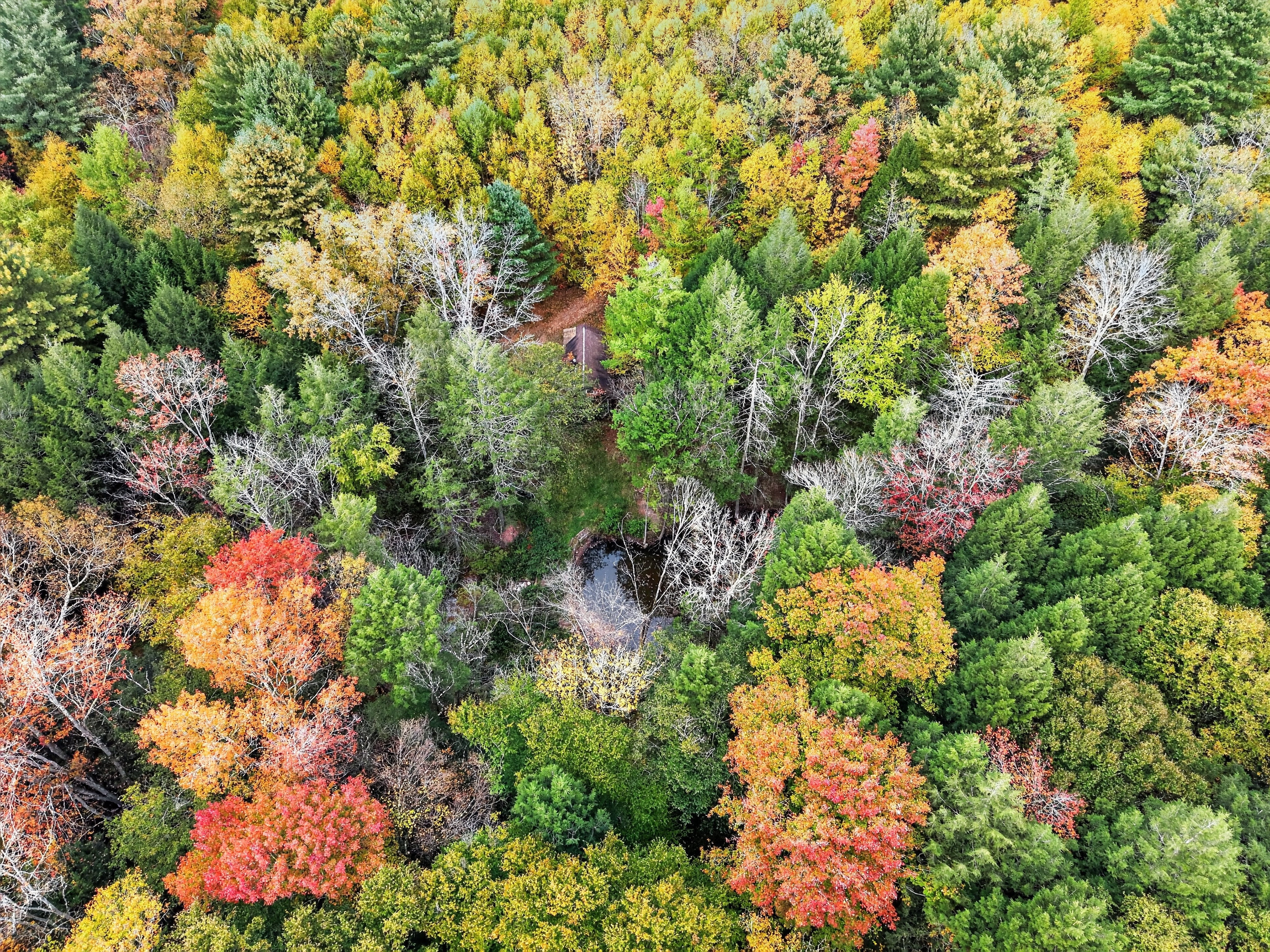 029_DJI_20261010154453_0085_D.jpg