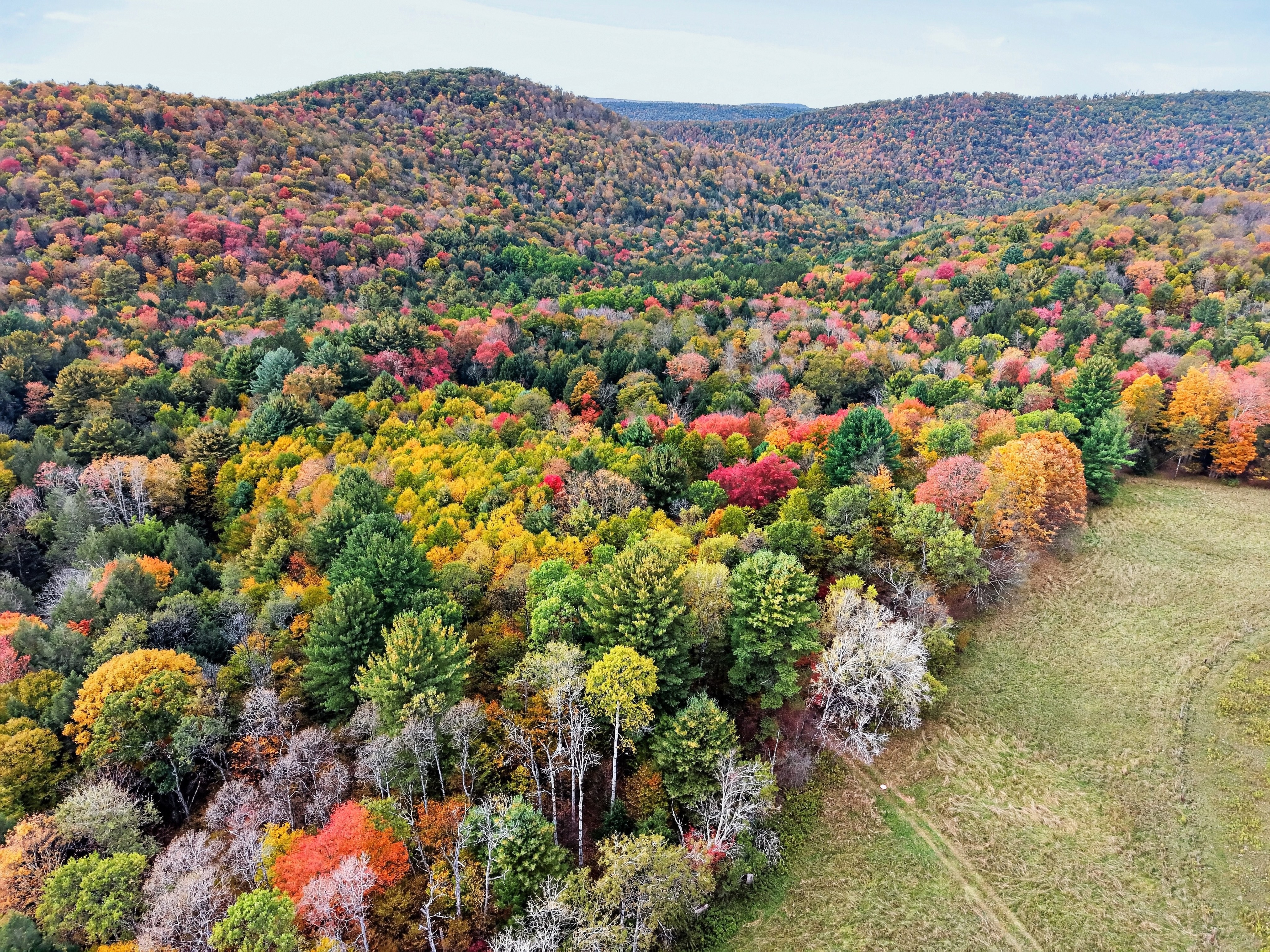 023_DJI_20261010154412_0083_D.jpg