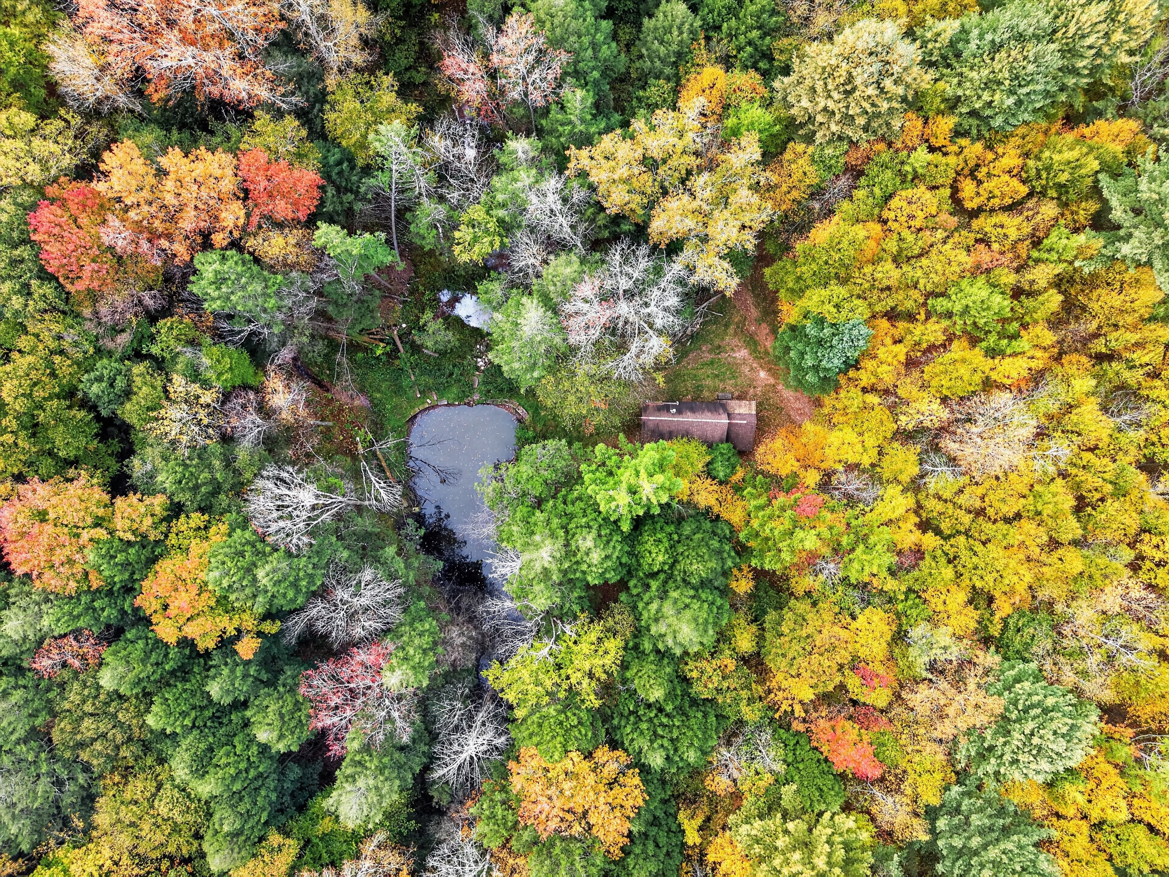 024_DJI_20261010154432_0084_D.jpg
