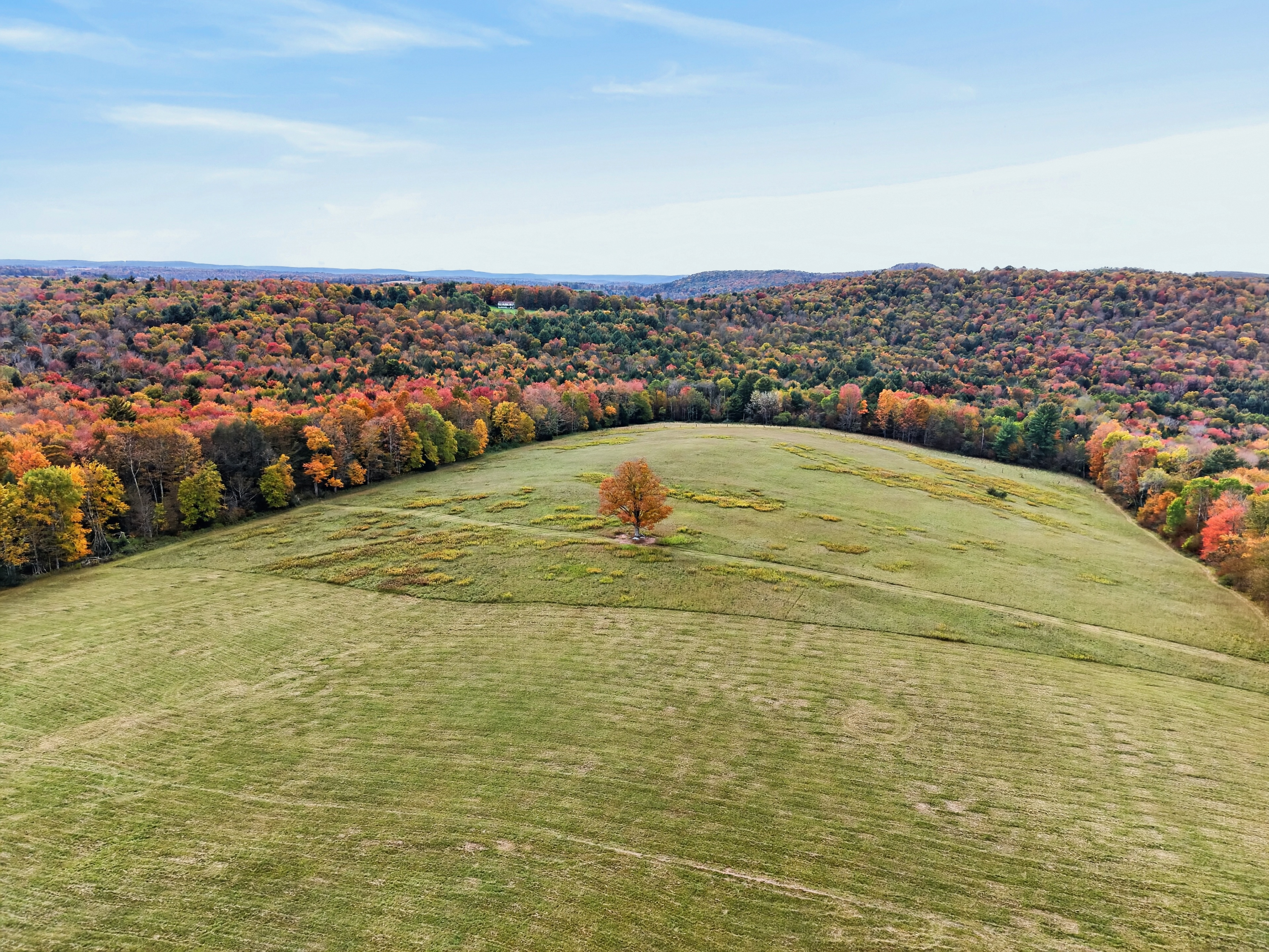 022_DJI_20261010154155_0079_D.jpg
