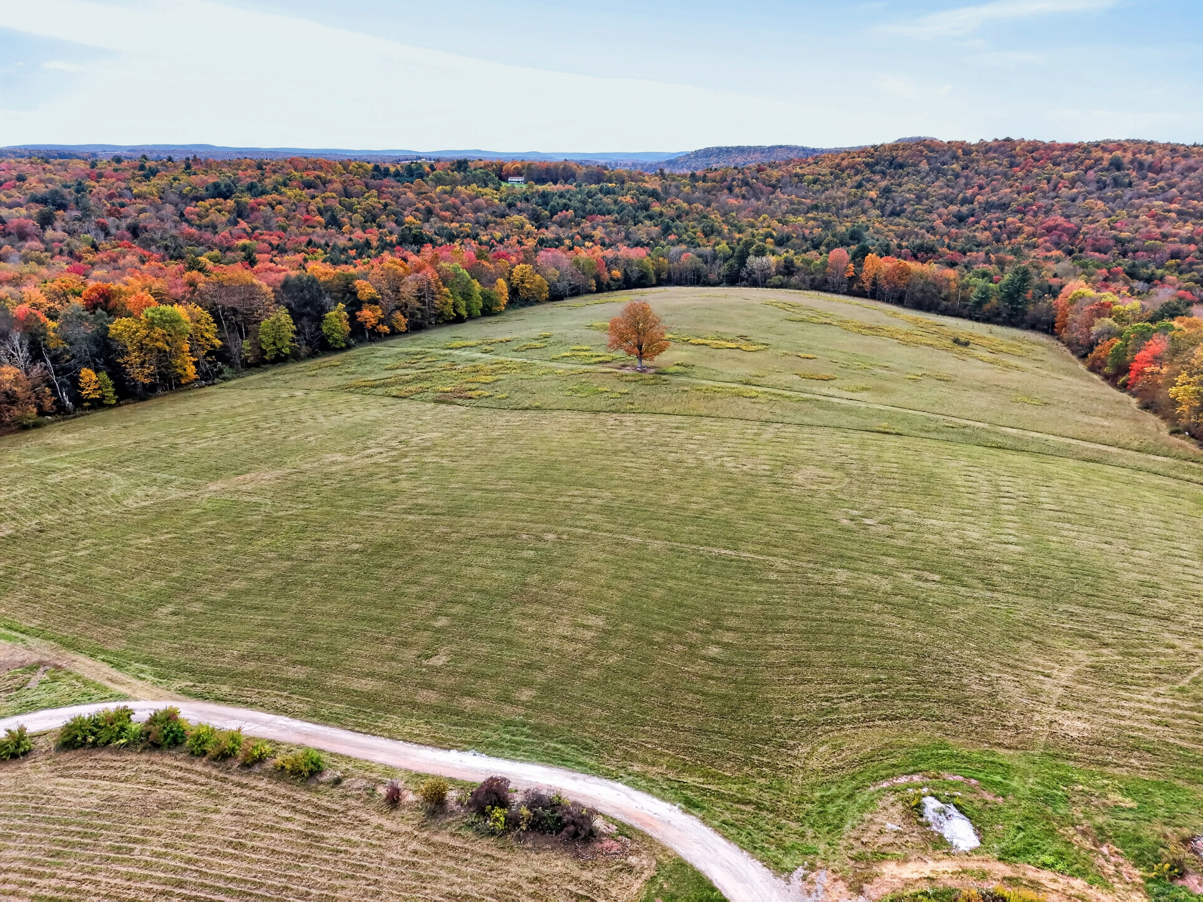 027_DJI_20261010154330_0082_D.jpg