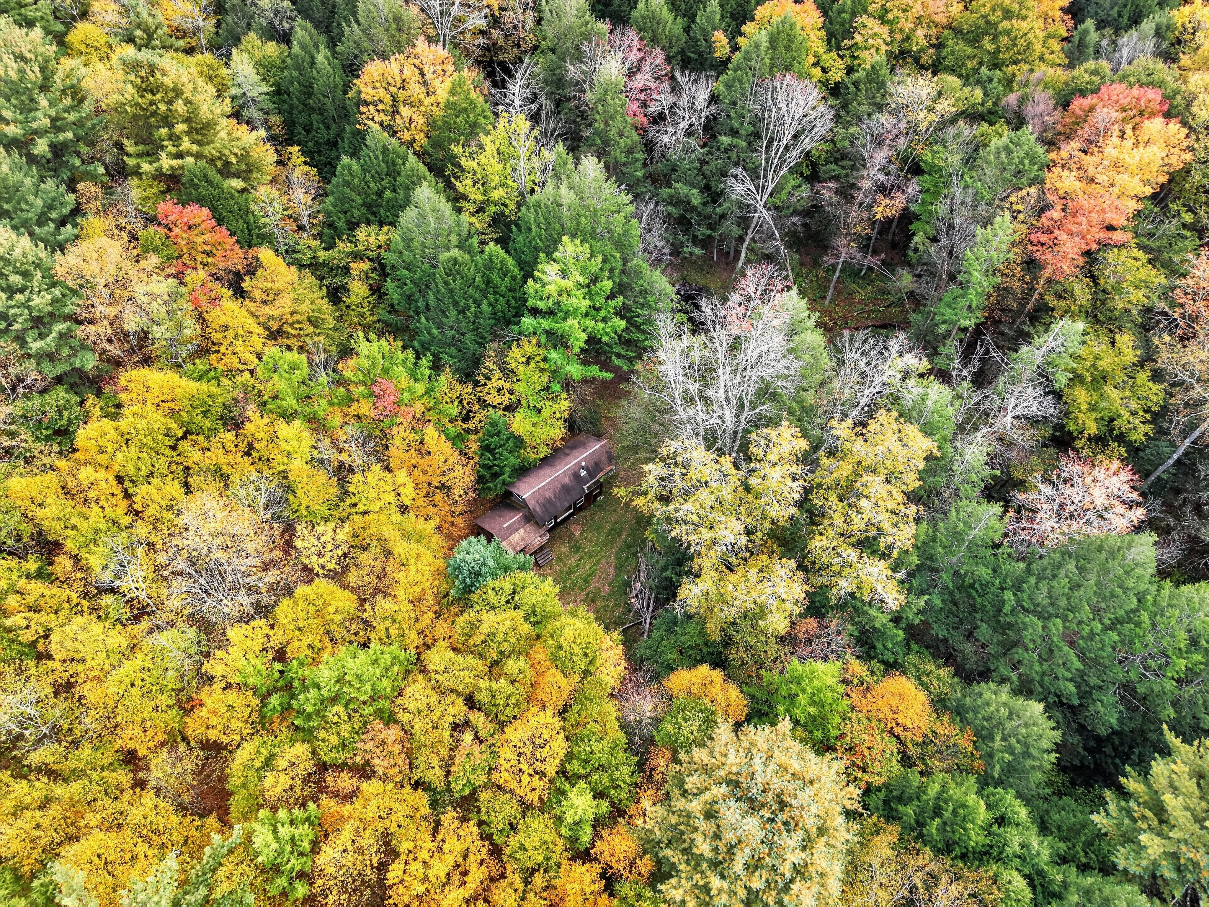 028_DJI_20261010154533_0087_D.jpg