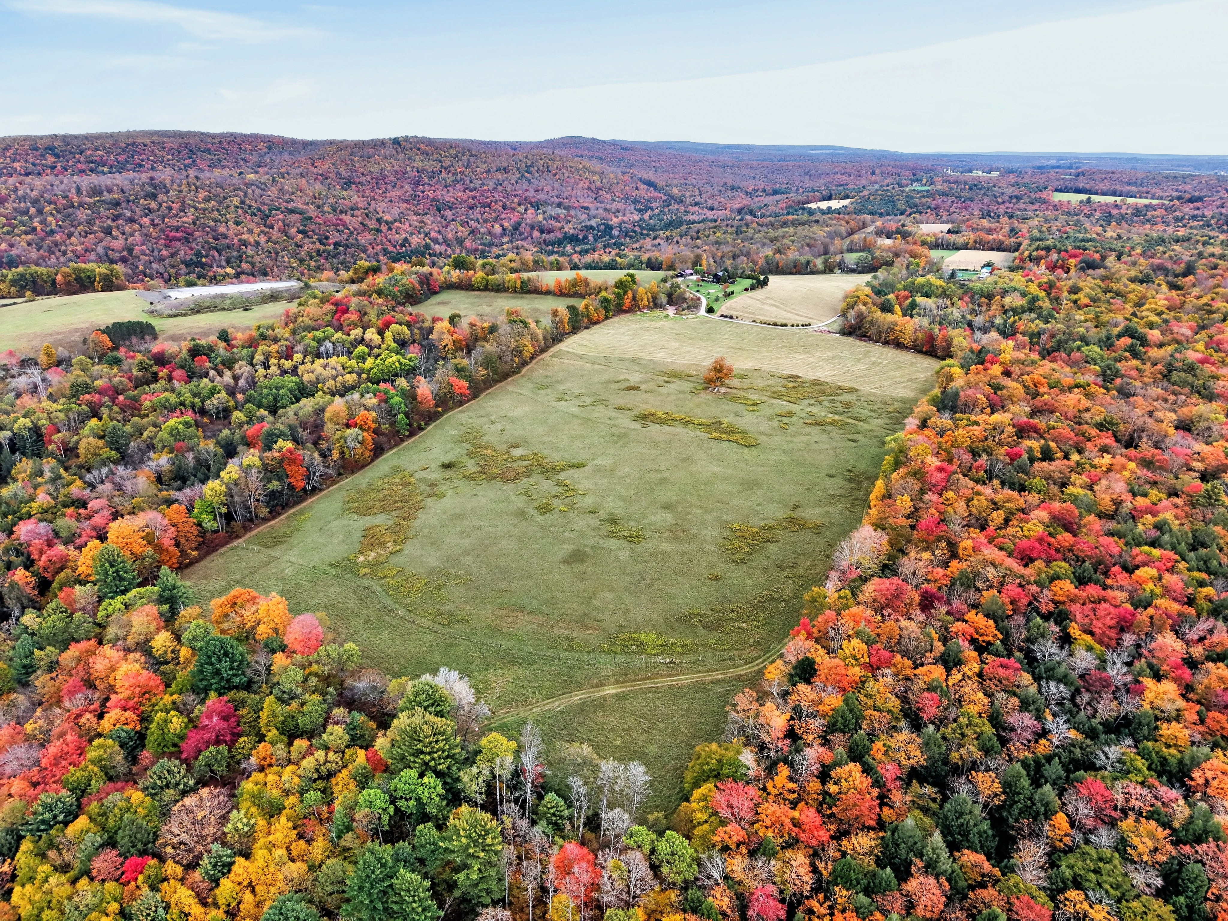 026_DJI_20261010154835_0093_D.jpg