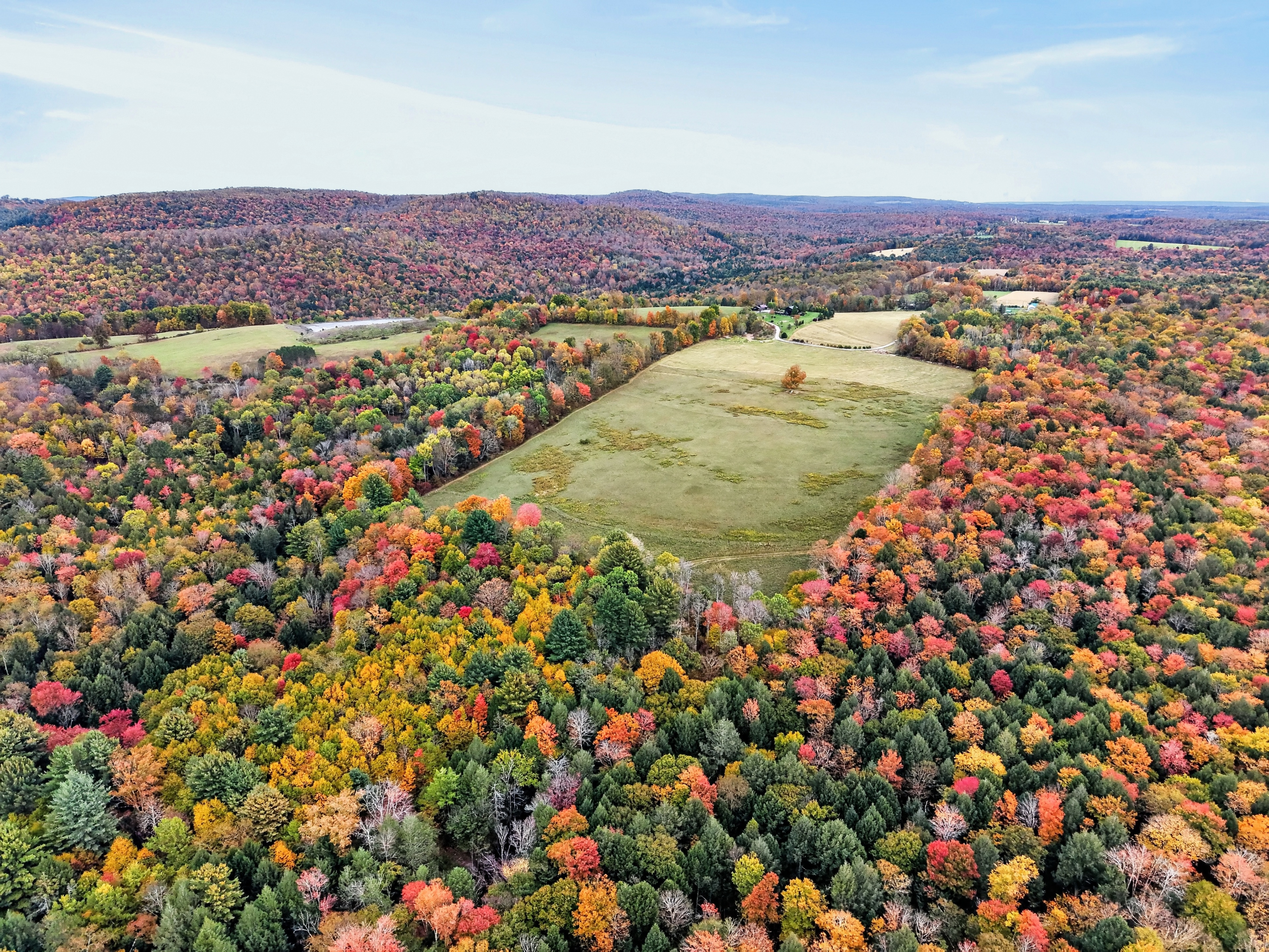 025_DJI_20261010154819_0092_D.jpg