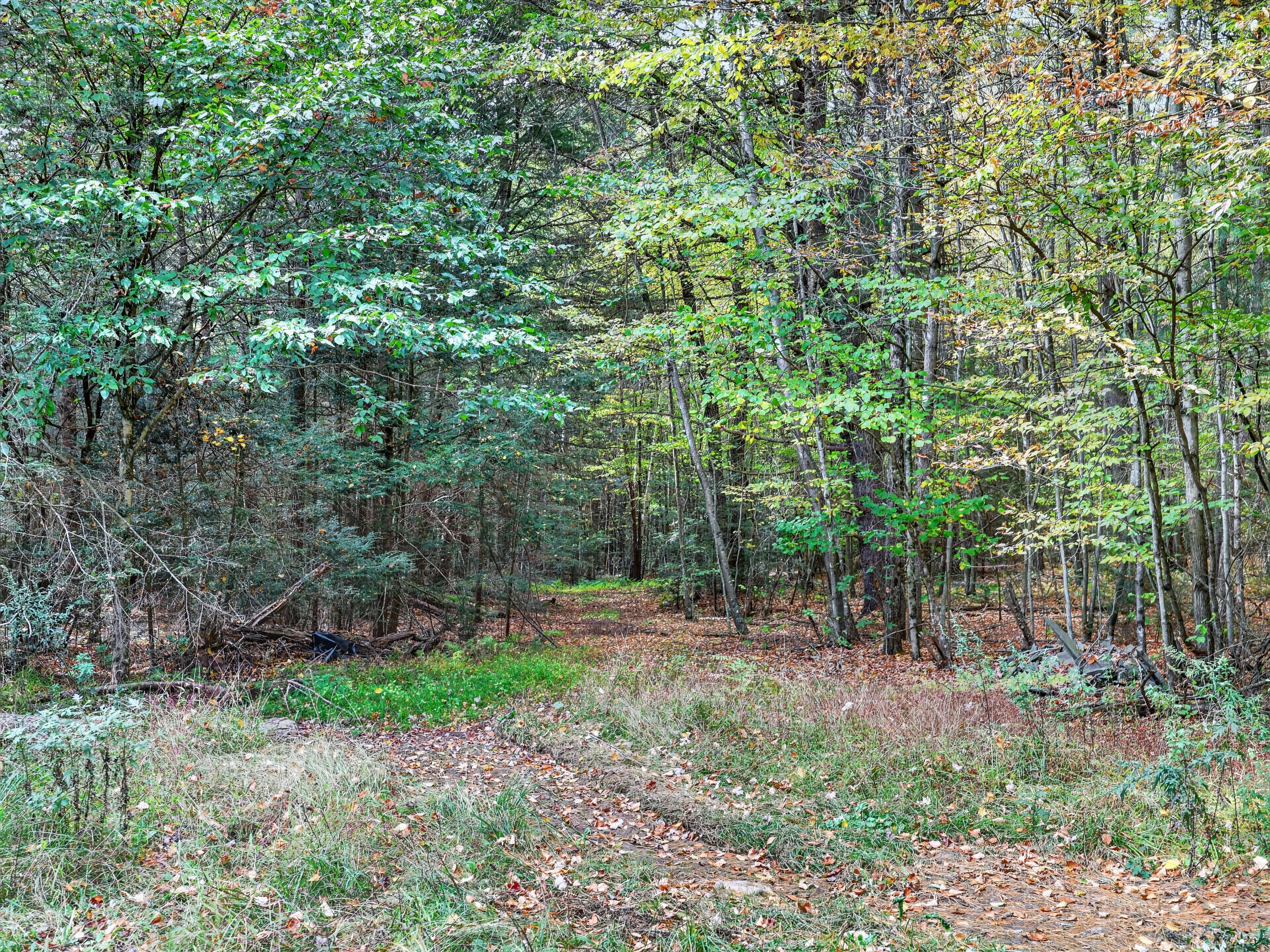 035_0M3A9847.jpg